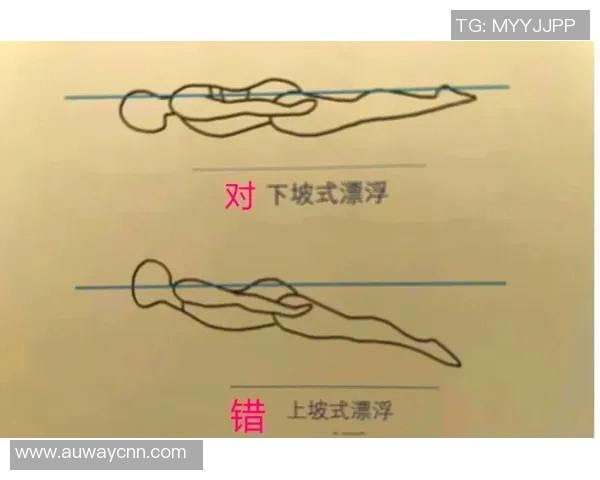 自由泳初学者入门指南从基础动作到技巧提高全程解析